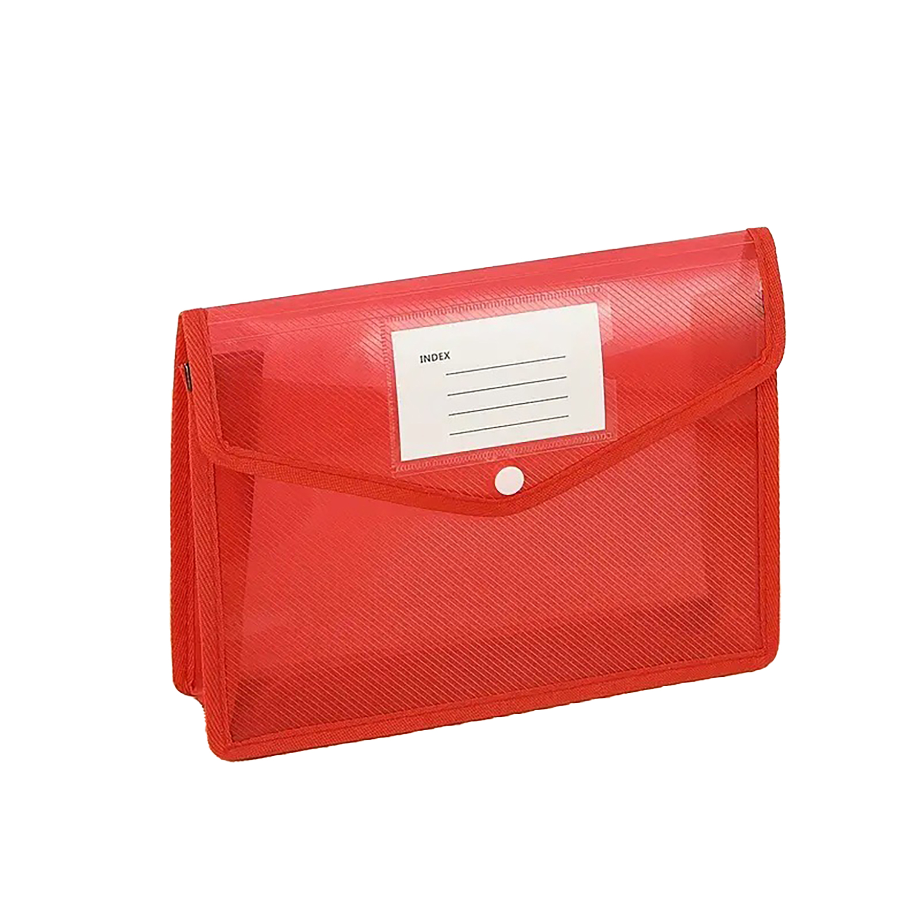 Plastic Expanding Document Folder 13