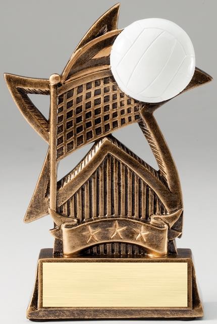 Volleyball Star Series Award 1