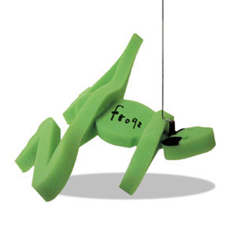 Frog on a leash 10