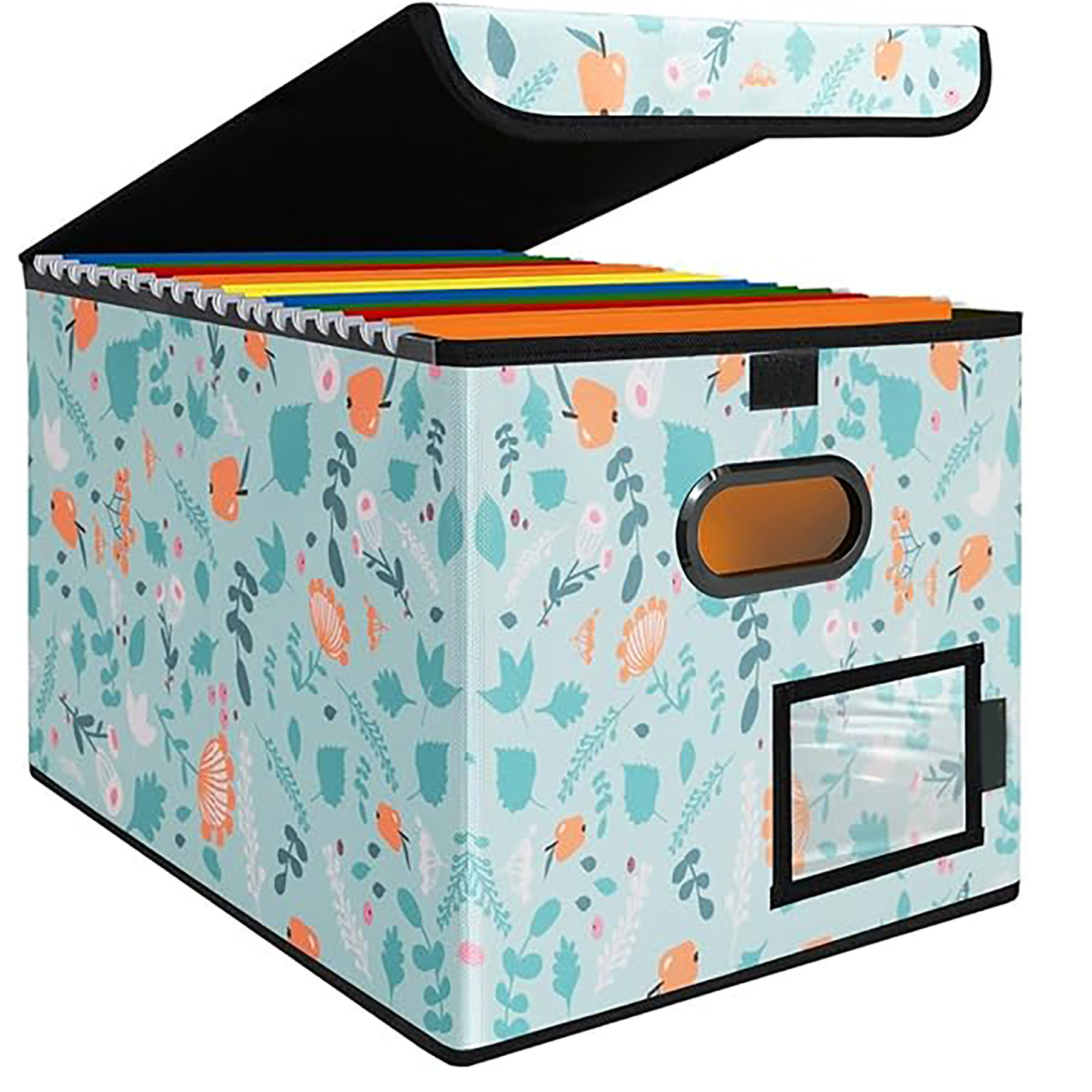 Collapsible Plastic File Organizer 10