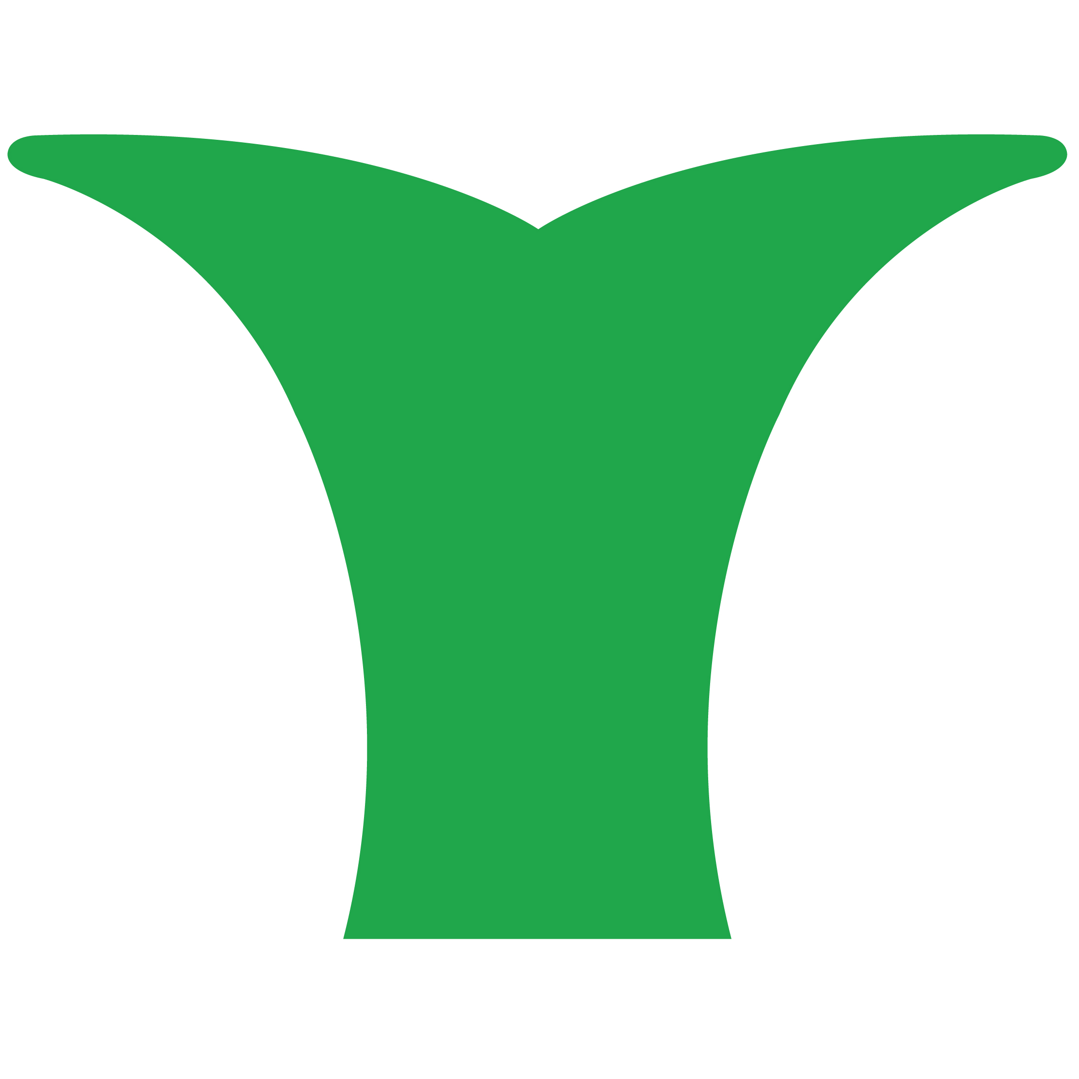Whale Tail 12