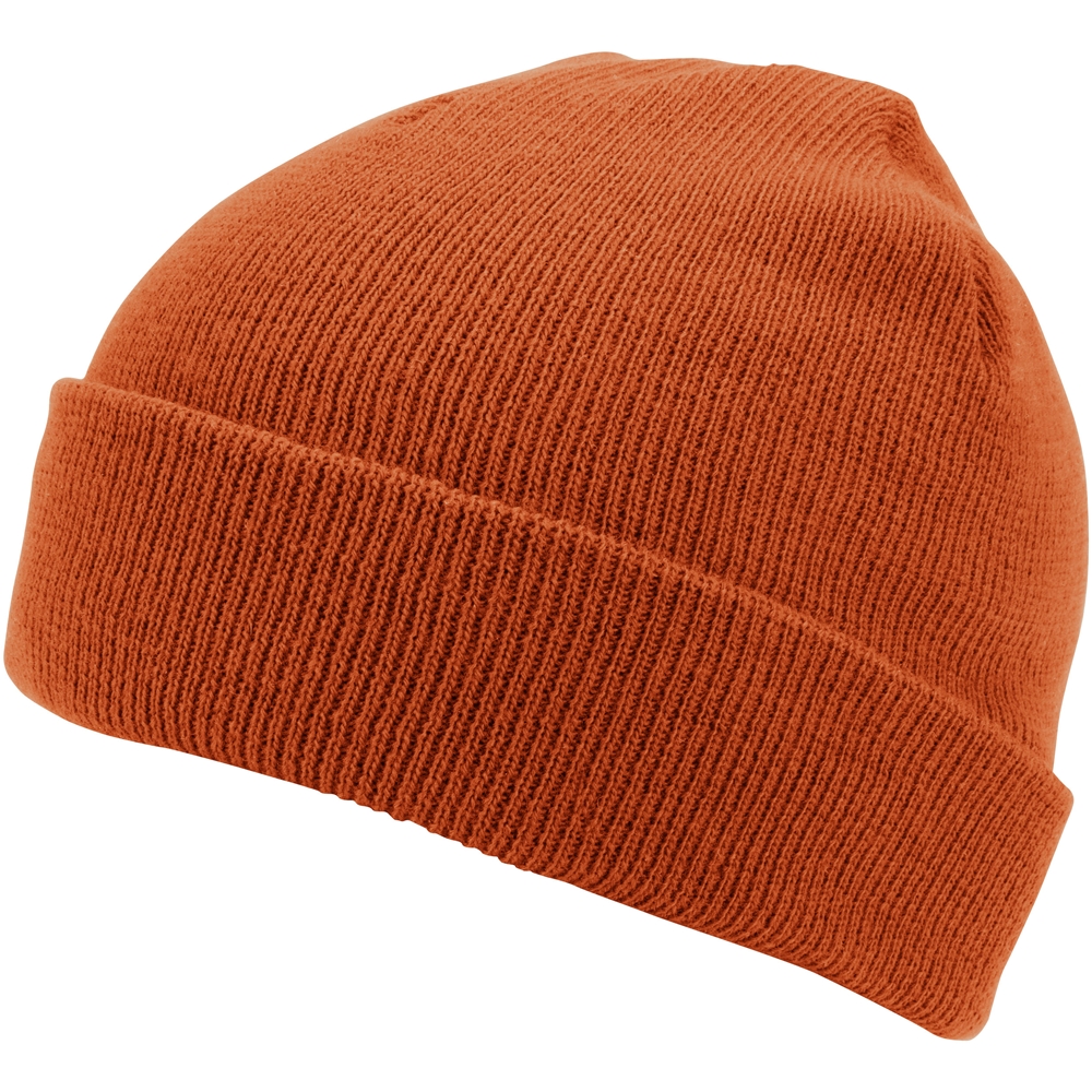 Polar Cuff Beanie 4
