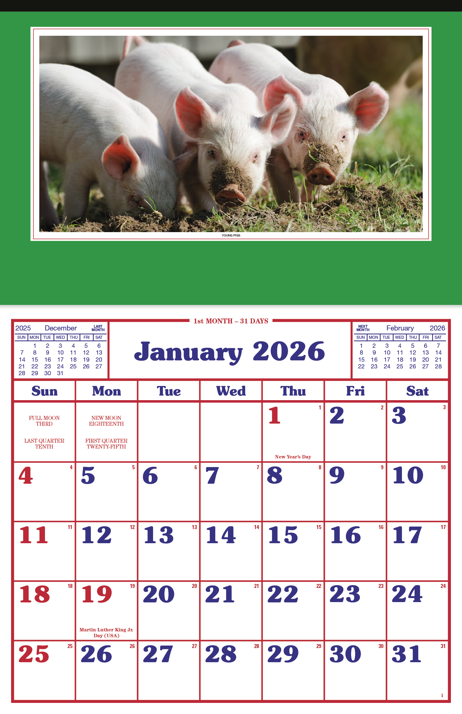 Skinner & Kennedy® Large Everyday Farm Memo 142