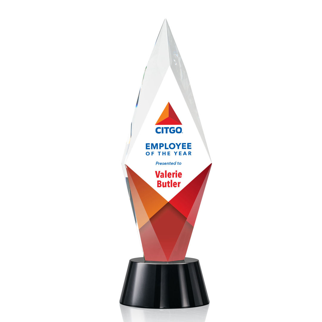 Manilow VividPrint™ Award 5