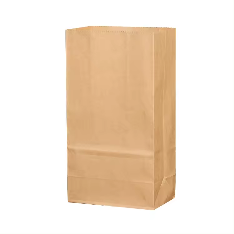 Lunch Paper Bag 2