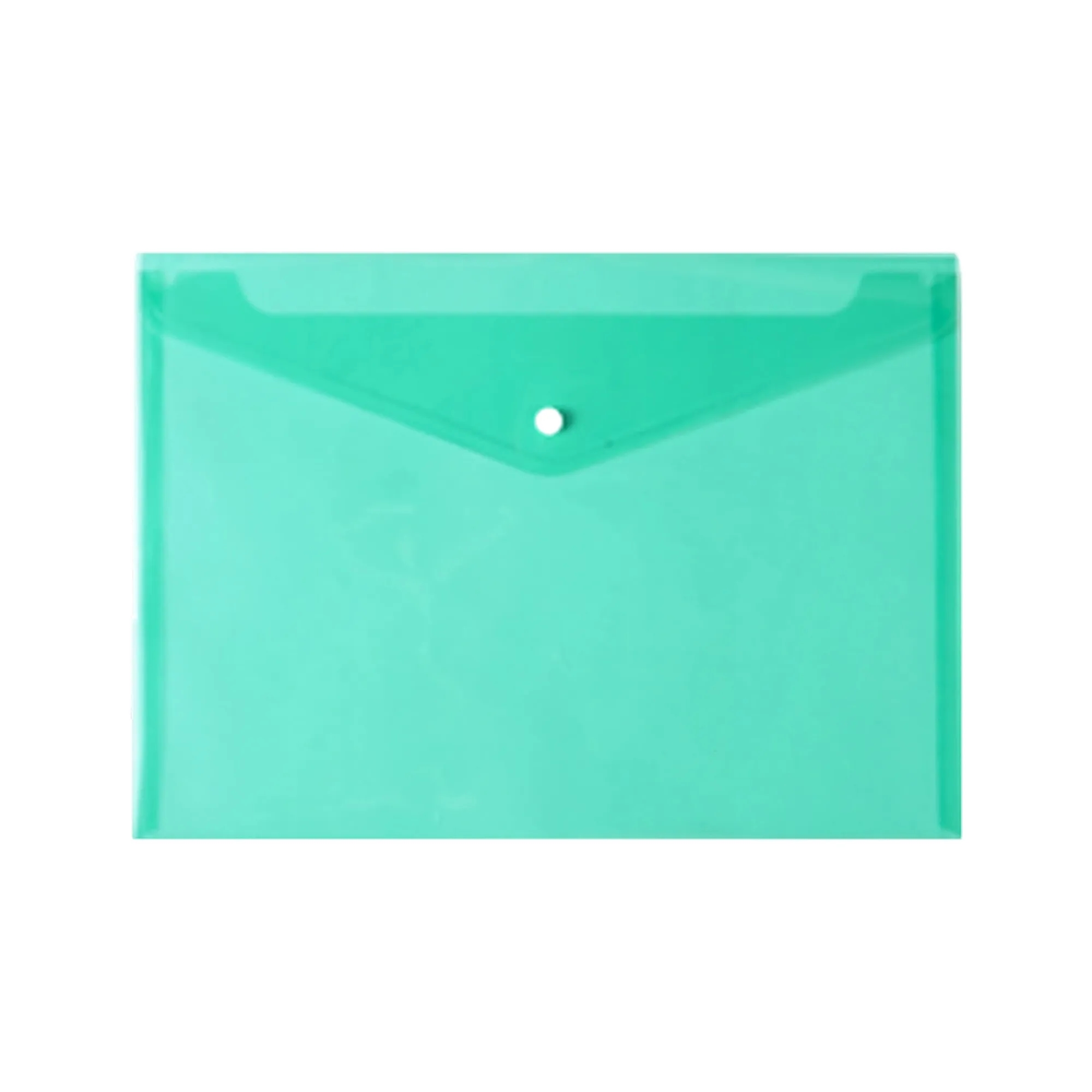 Transparent Snap Document Folder 2