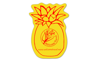 Pineapple Vinyl Jar Opener 80