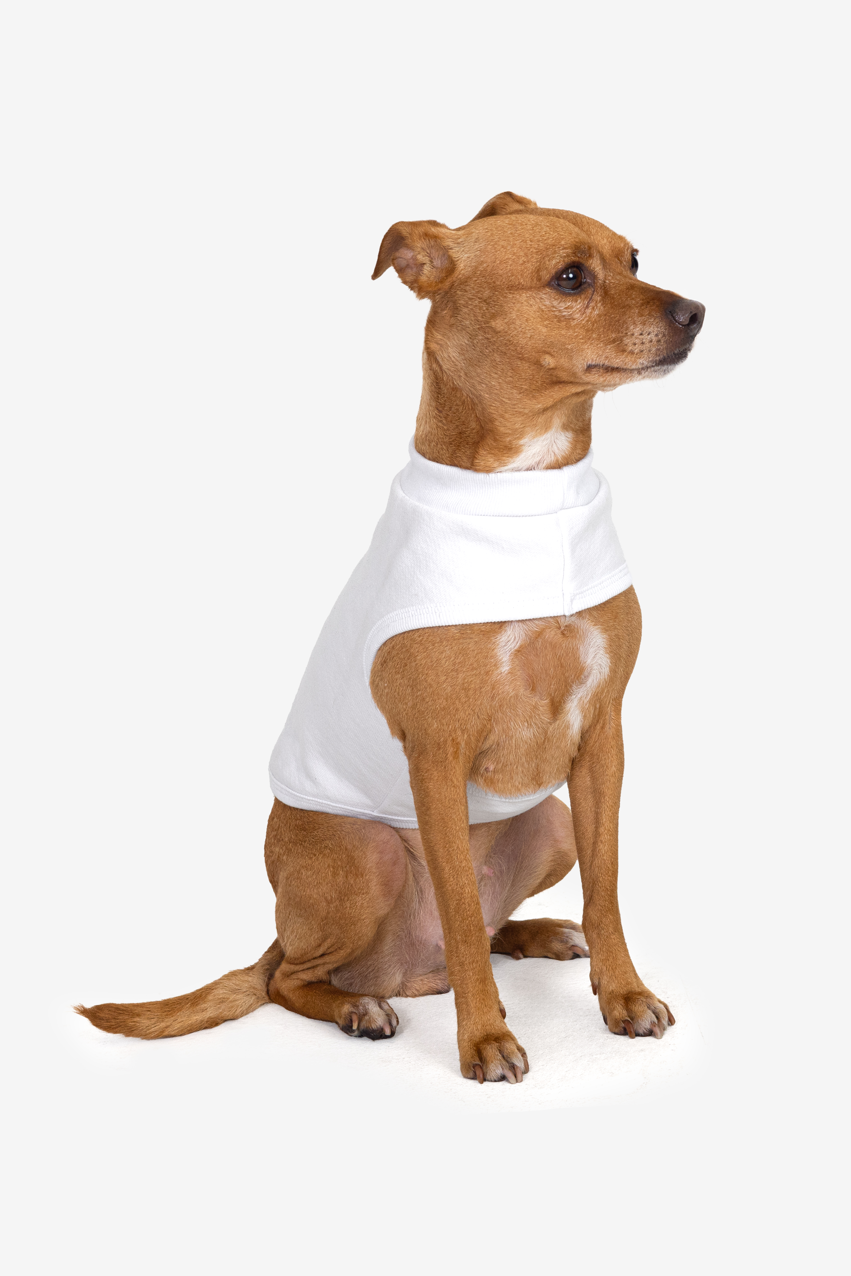 HEAVY FLEECE FLEECE DOG VEST 12