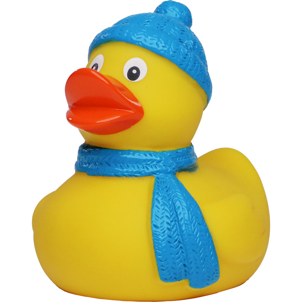 Winter Duck 2