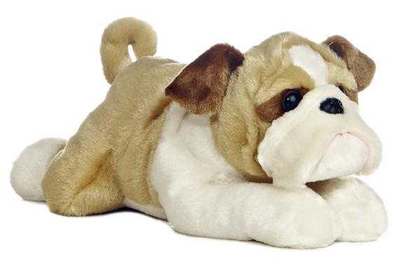 12" Wills Bulldog 2