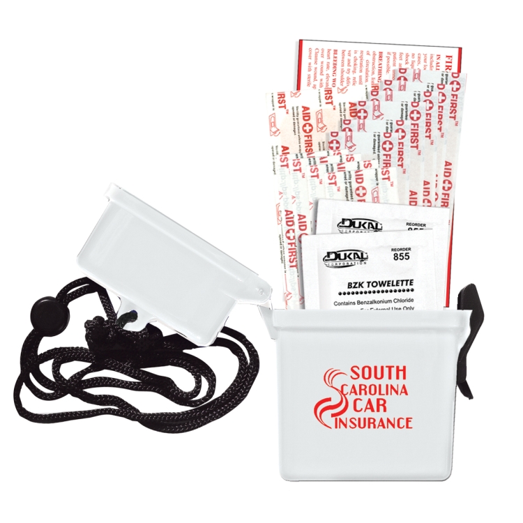 "EZ CARRY KIT 3" 13 Piece First Aid Kit Thirteen Components Inserted Into Hard Plastic Hinged Top Wa 6