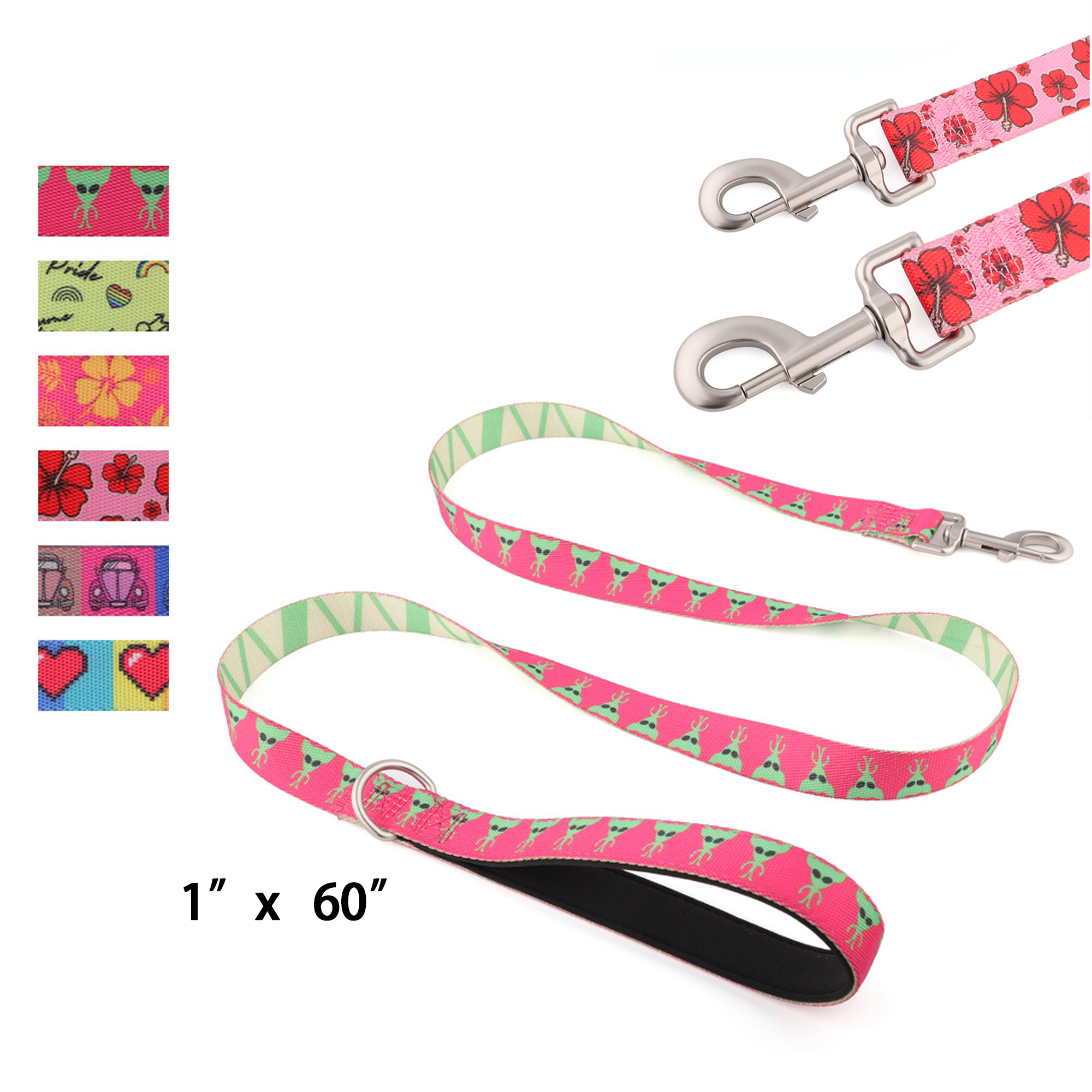 Nylon Pet Leash With Metal Carabiner 2