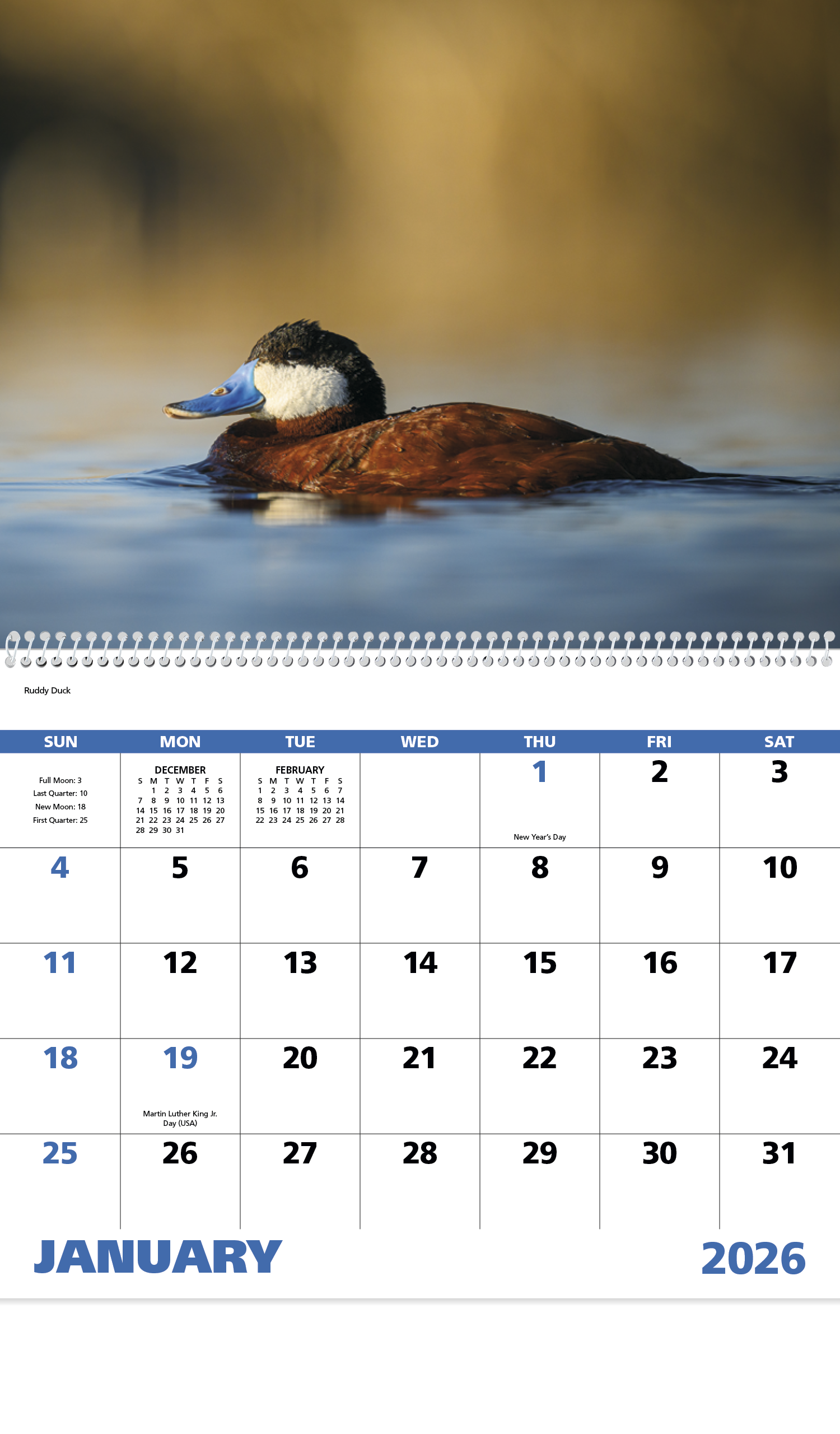 Good Value™ Waterfowl - Spiral Calendar 18
