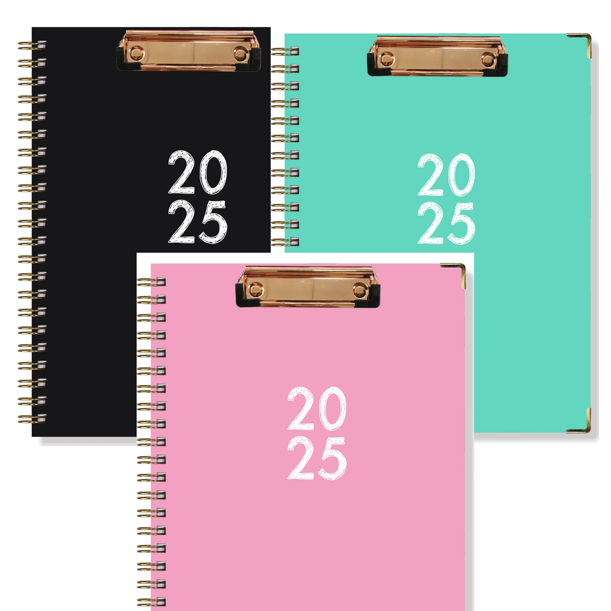 2025 Daily Planner 2