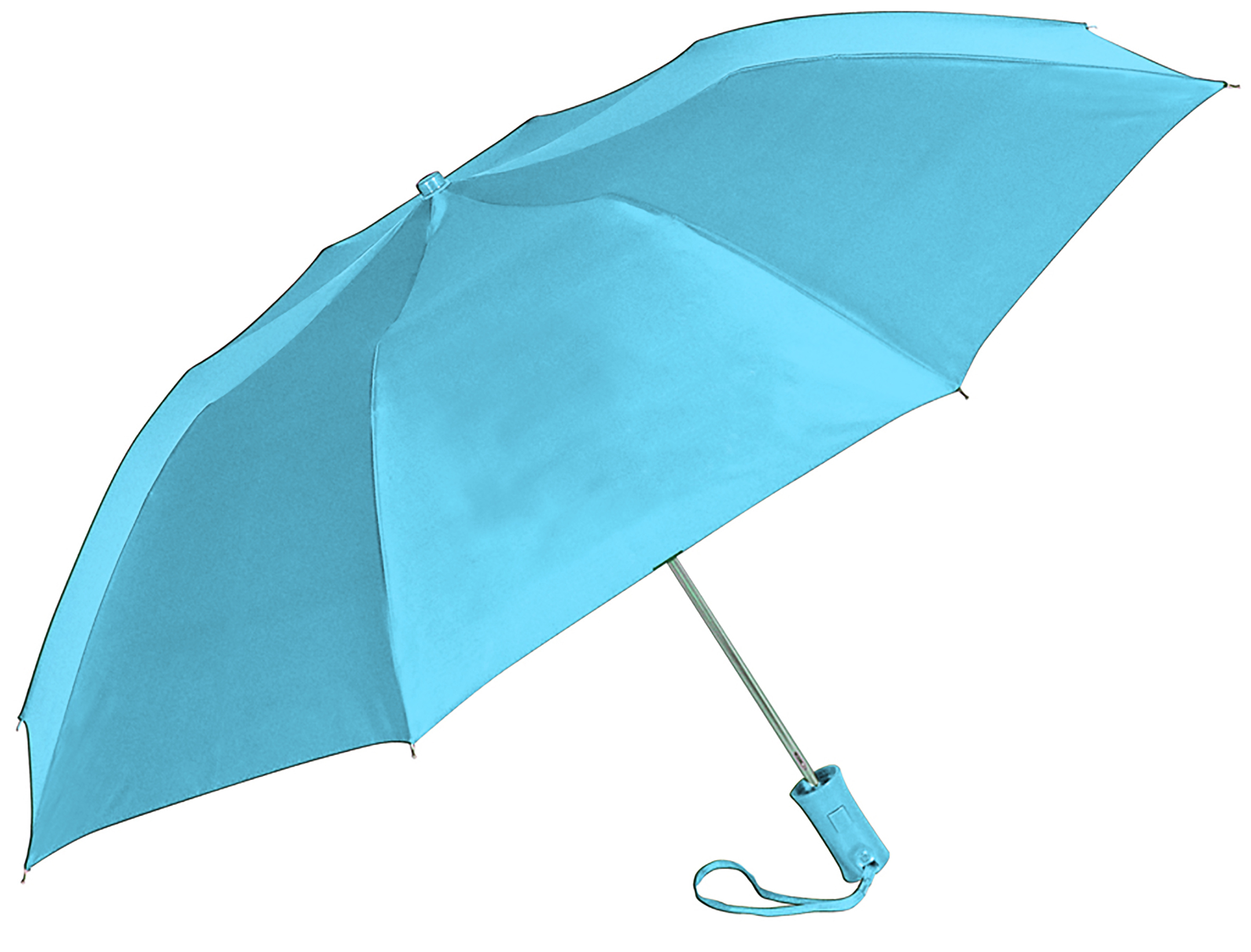 The Classic Umbrella 2