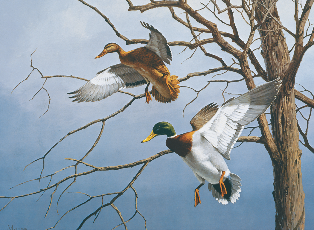 HotLine® Products Maass Wildfowl® Executive Calendar 31