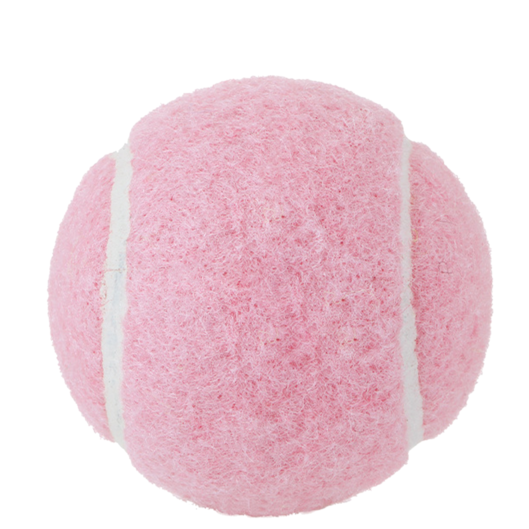 Customizable Dog Play Ball 5