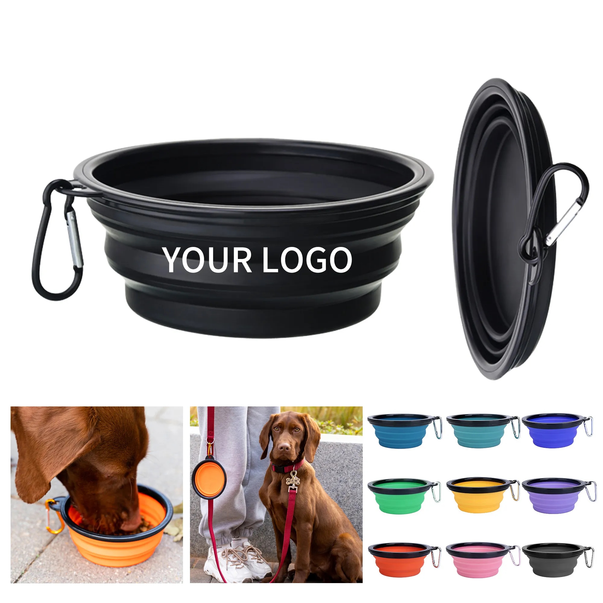 Pet Feeding Dish 11