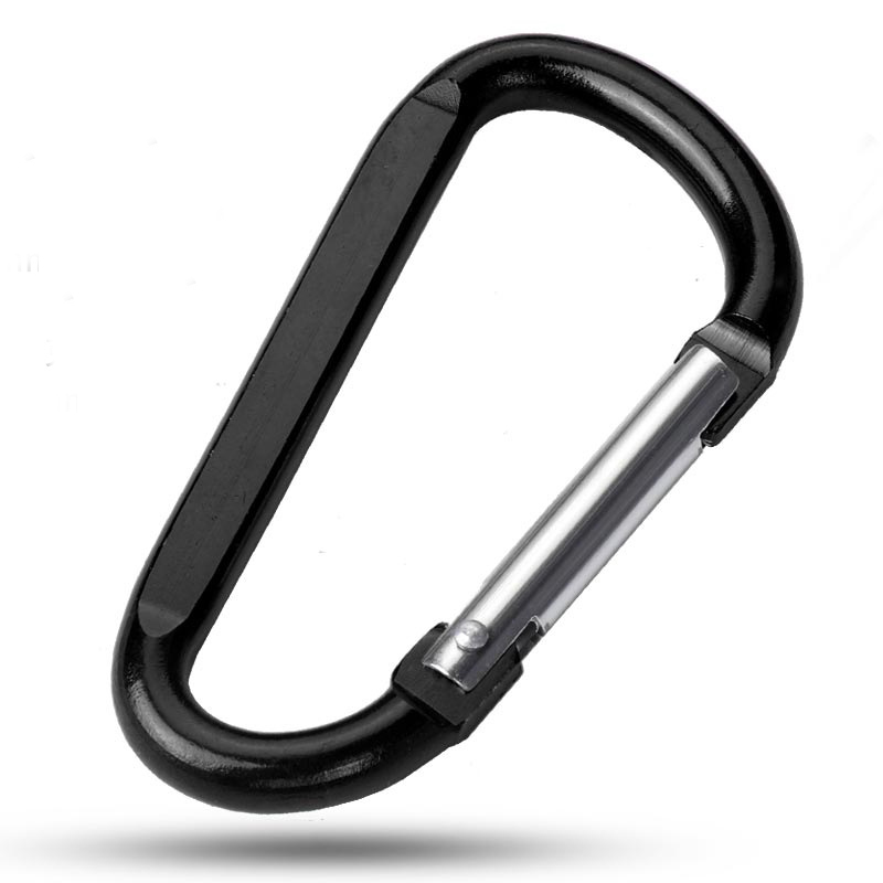 Carabiner Key Chain 2