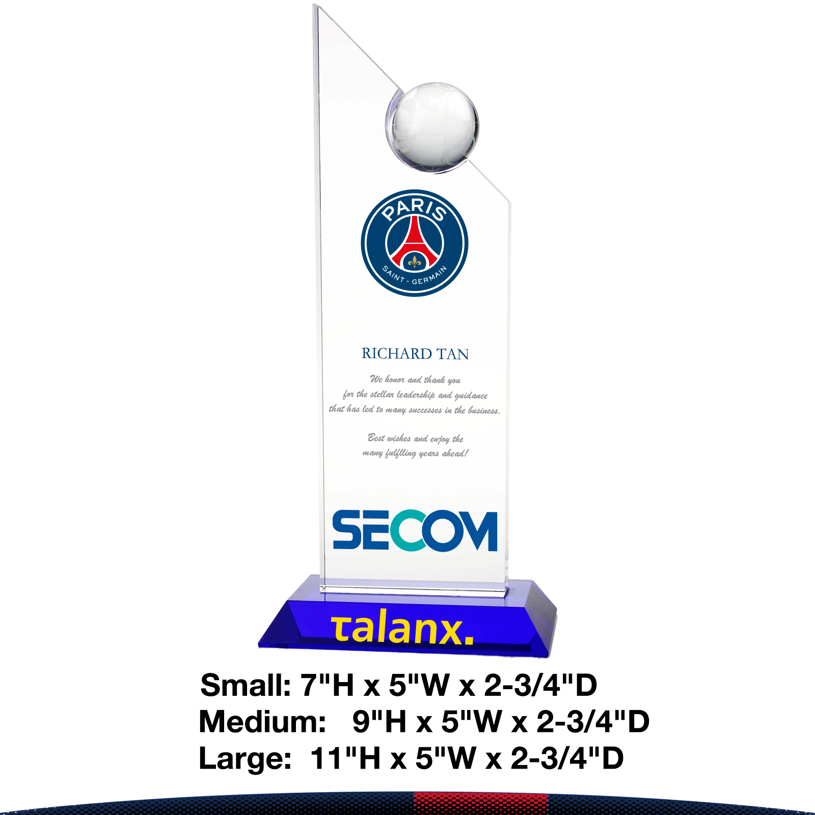 Rplin Pinnacle Globe Award 1