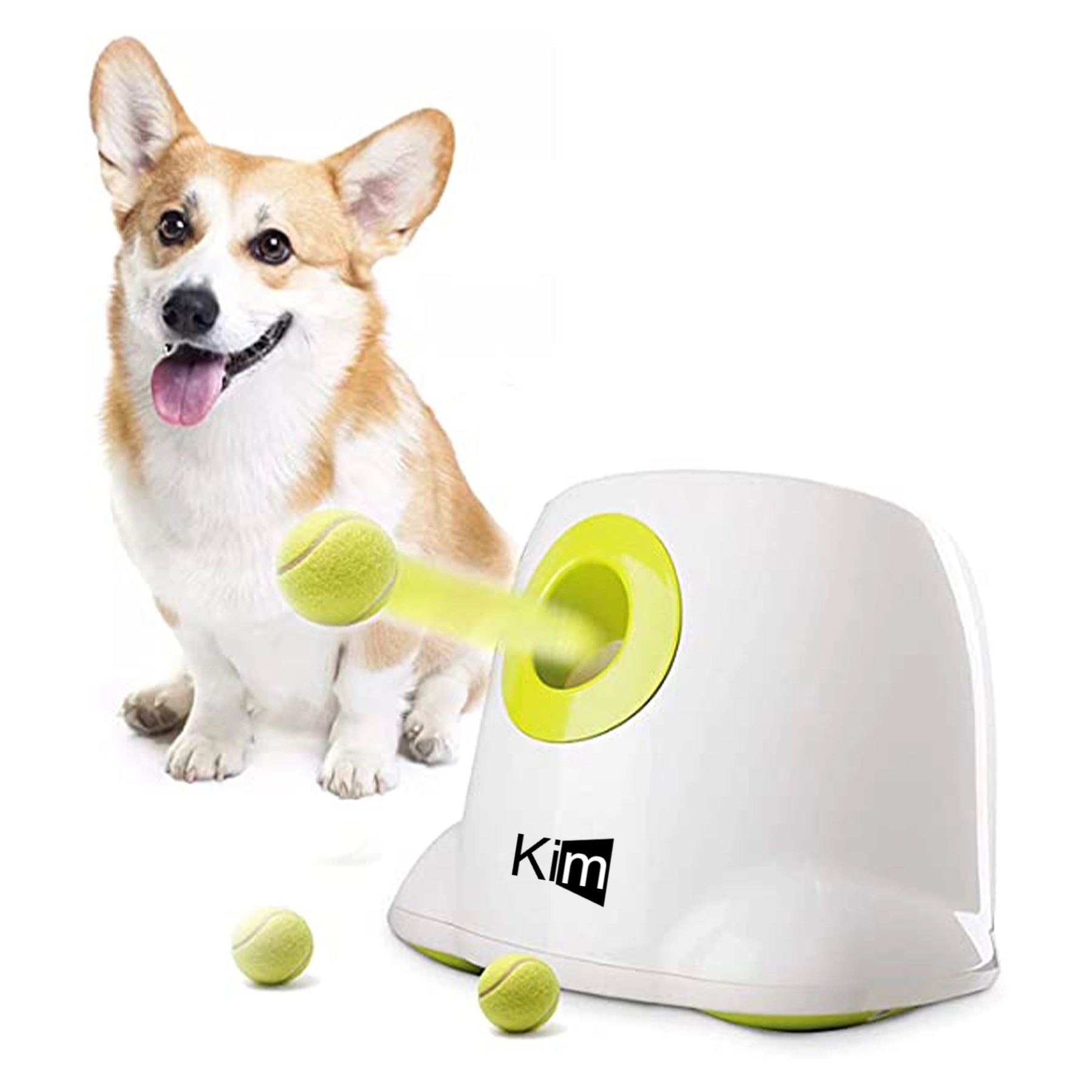 Automatic Ball Launcher For Dogs 2