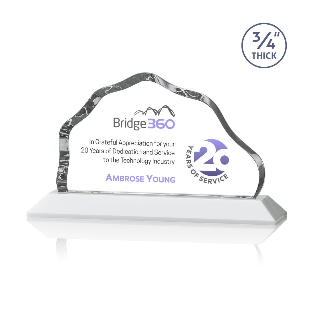 Petersen VividPrint™ Award - White 2