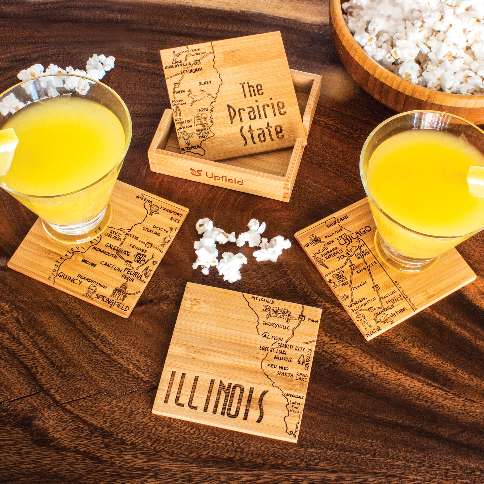 Illinois Puzzle Coaster Set 14