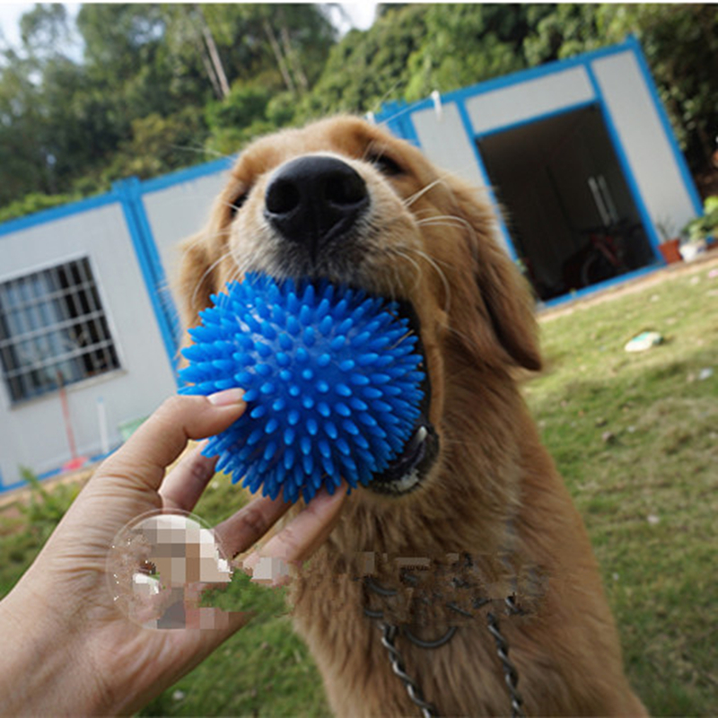 Dog Rubber Squeaky Ball-Diameter 2.56" 2