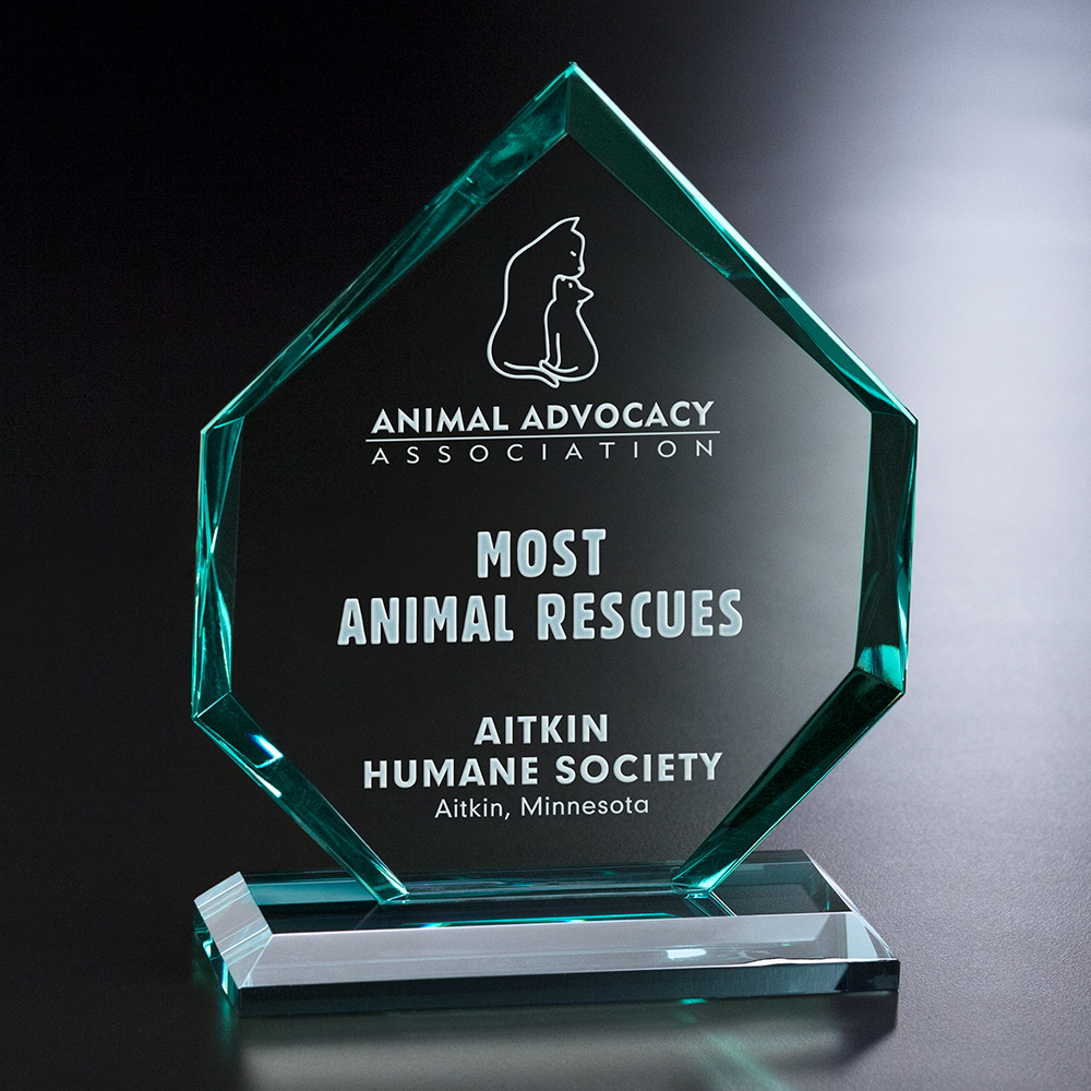 Titan Award 2