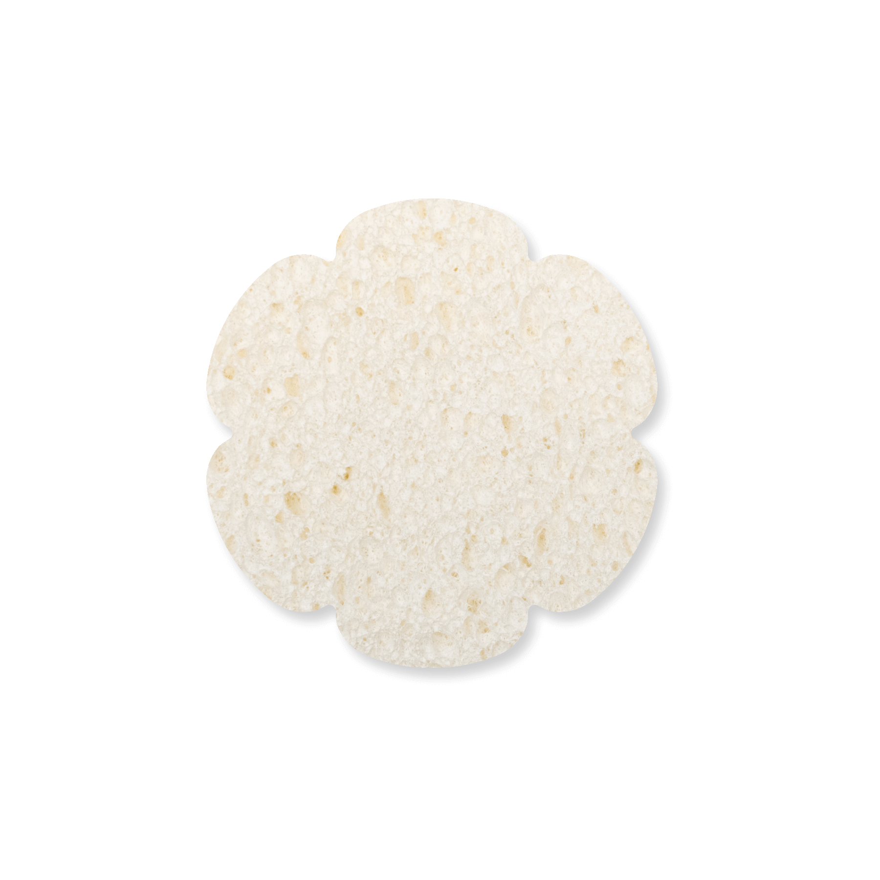 Expand-It Sponge - Flower 2 2