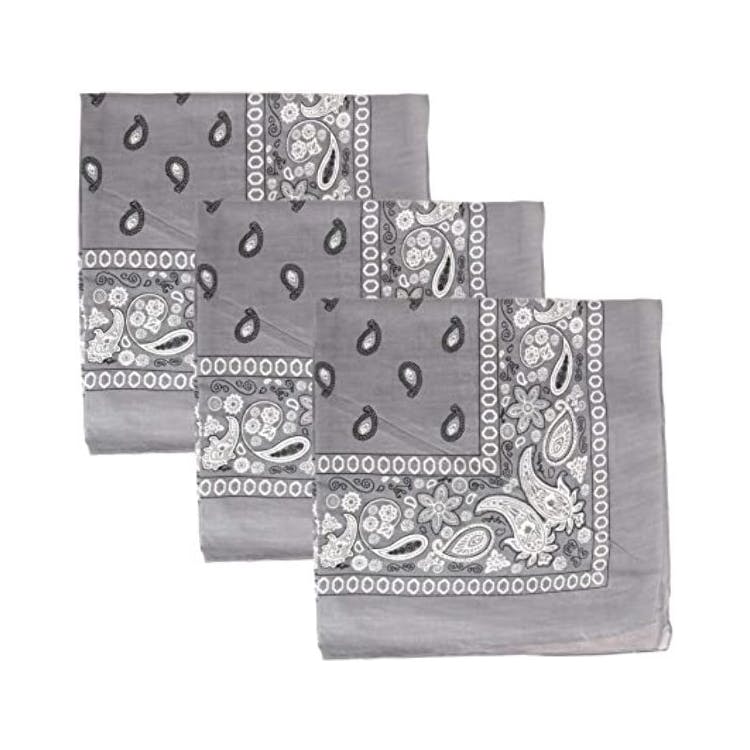 Cotton Bandanas - Paisley Gray 2
