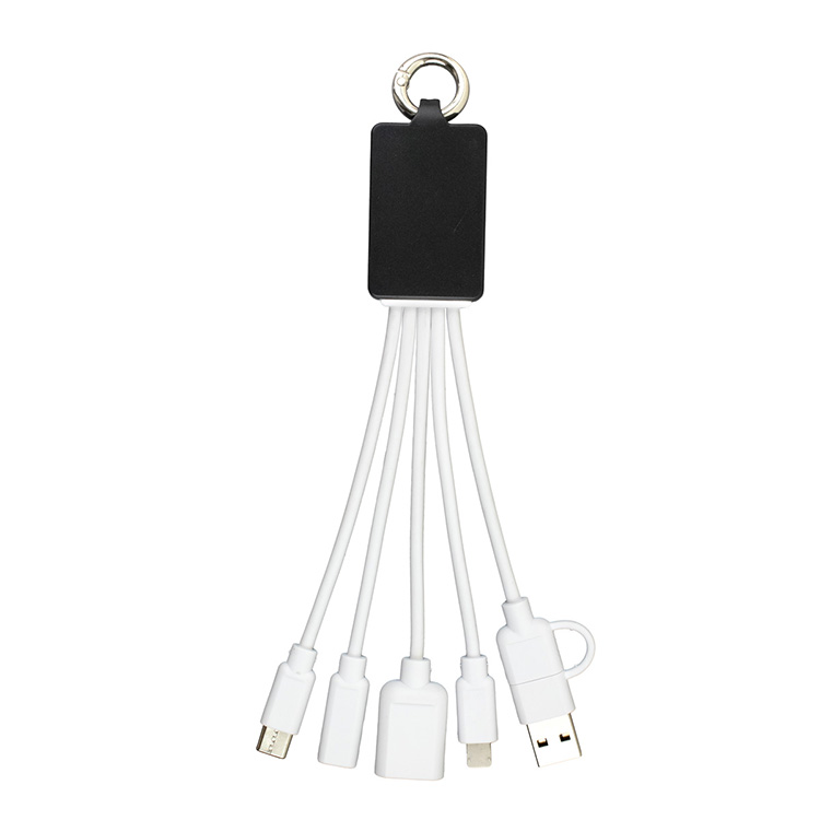 "FUSION" Charging Cable With 2 Port USB Hub 13