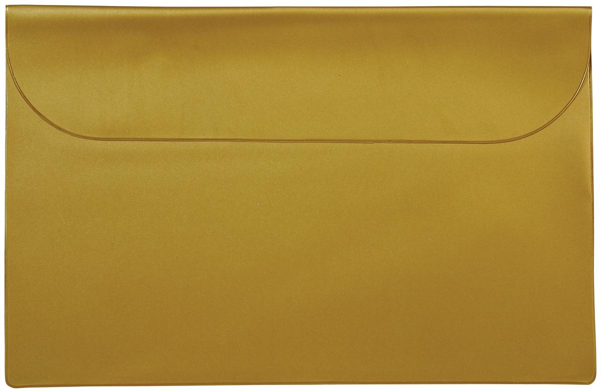 Standard Vinyl Underarm Portfolio 17