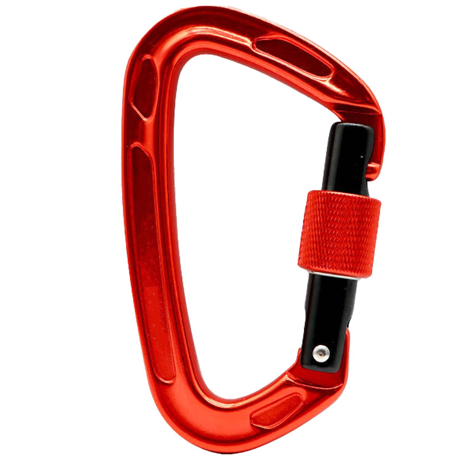 D Ring Climb Locking Carabiner Clip Lightweight and Strong 10