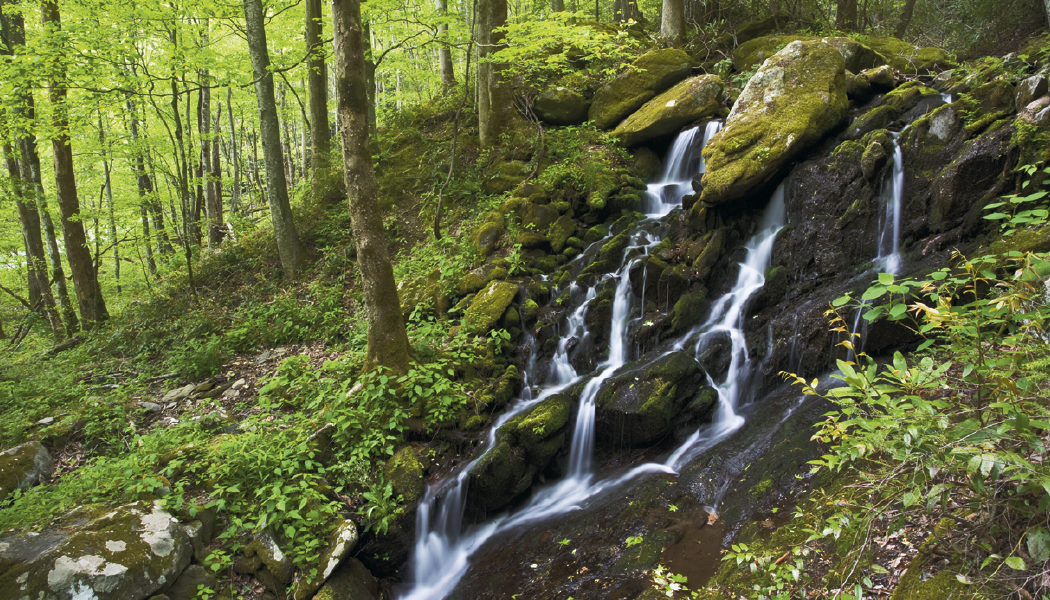 Triumph® Calendars American Splendor with Date Blocks Calendar 25