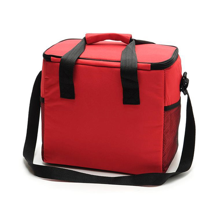 Cooler Bag 6