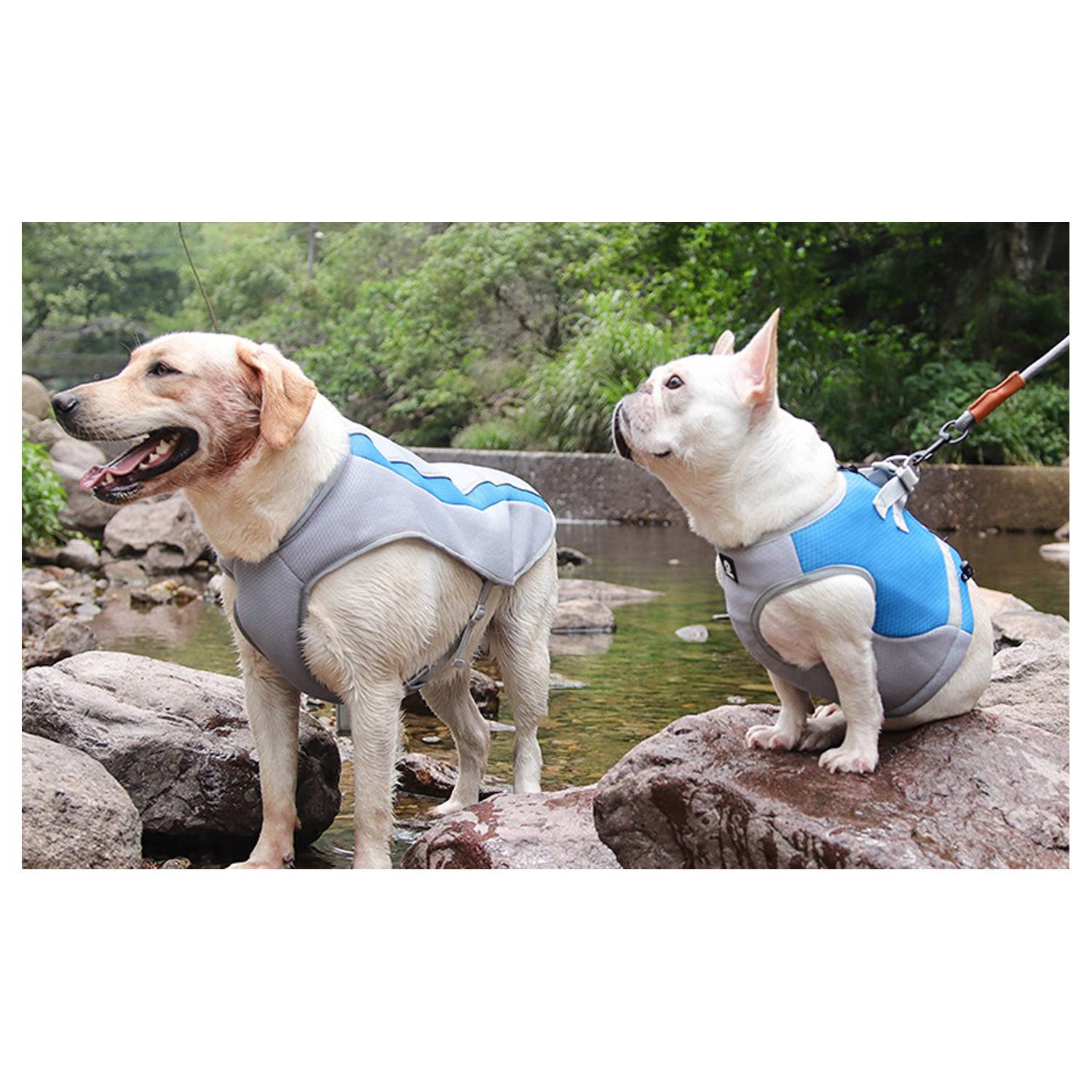 Summer Dog Cooling Reflective Clothing 5