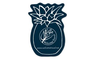 Pineapple Vinyl Jar Opener 79