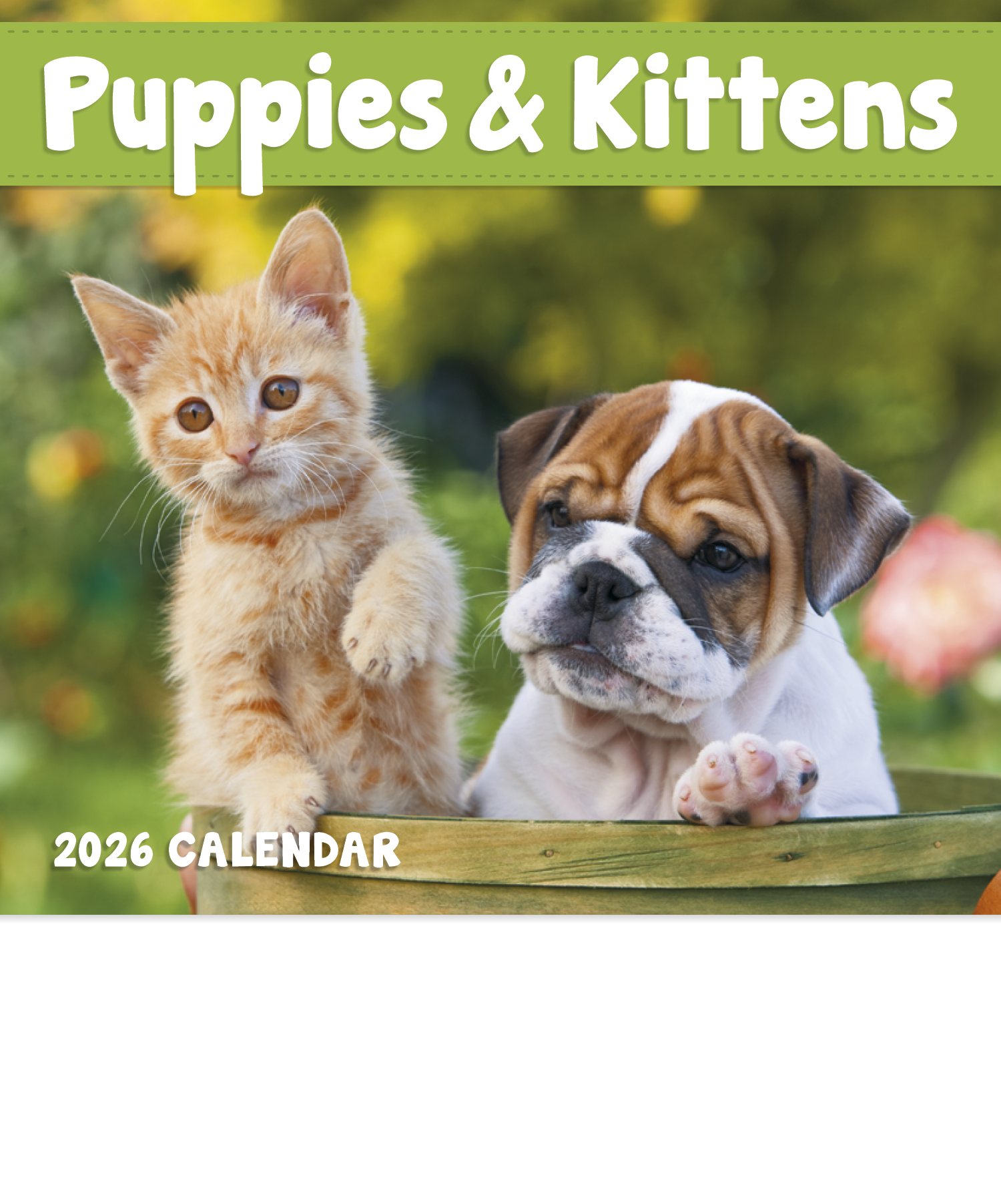 Good Value™ Puppies & Kittens - Mini Calendar 7