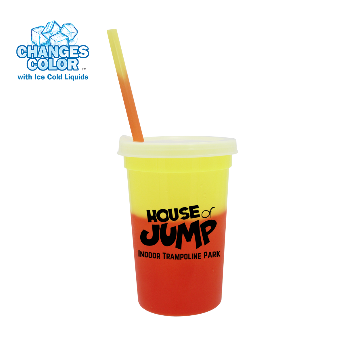 Mood™ 22 oz. Stadium Cup/Straw/Lid Set 24