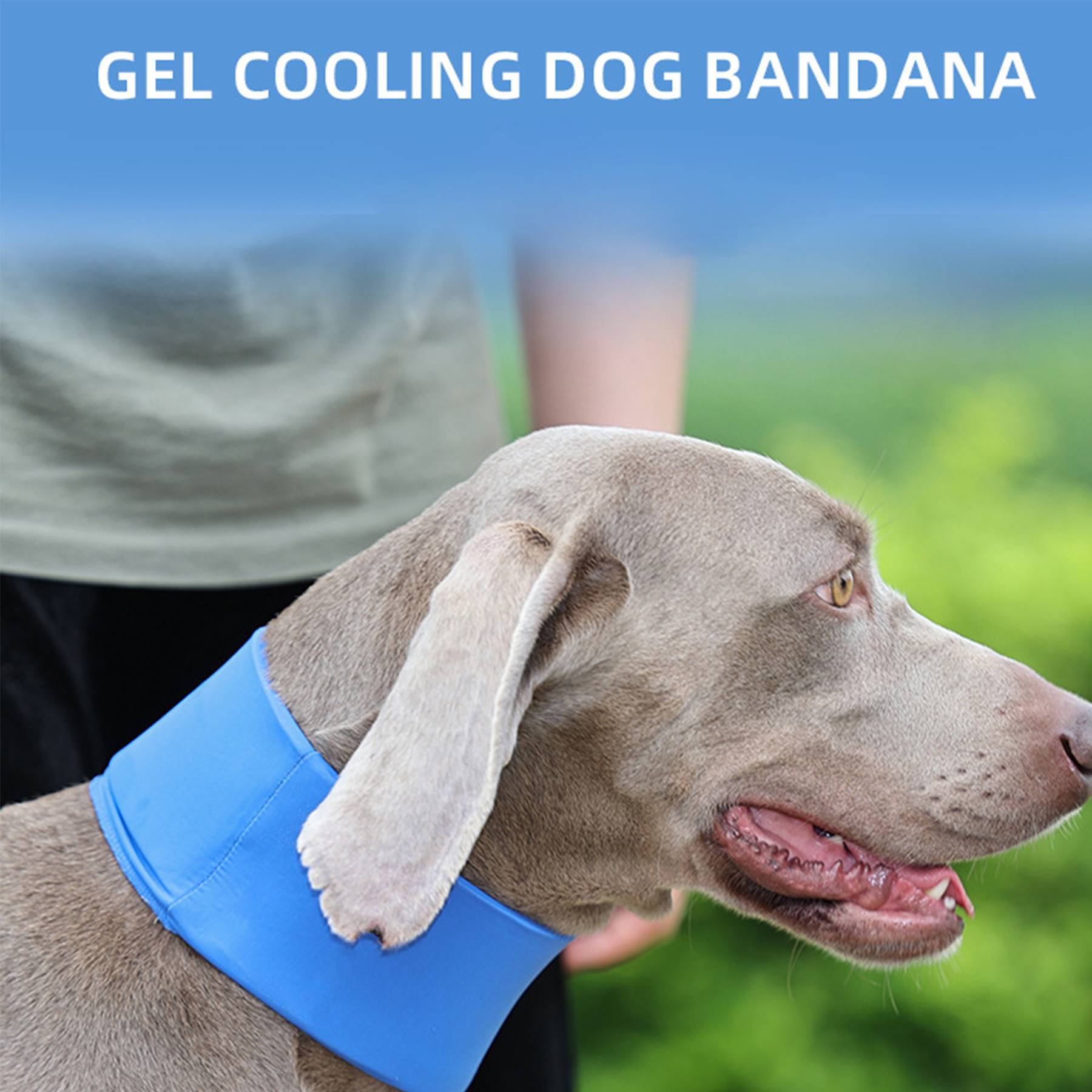 Polyester Dog Cooling Bandana Collar Neck Wraps 5