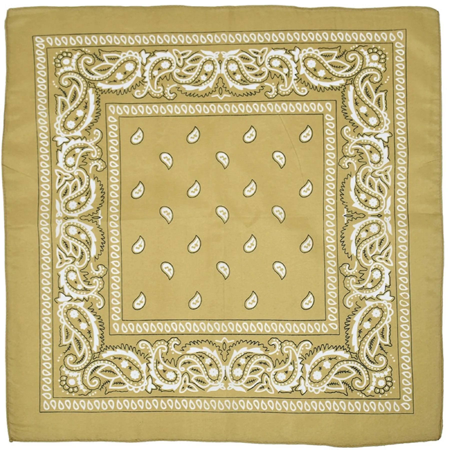 Multi-Purpose Bandanas Paisley 22