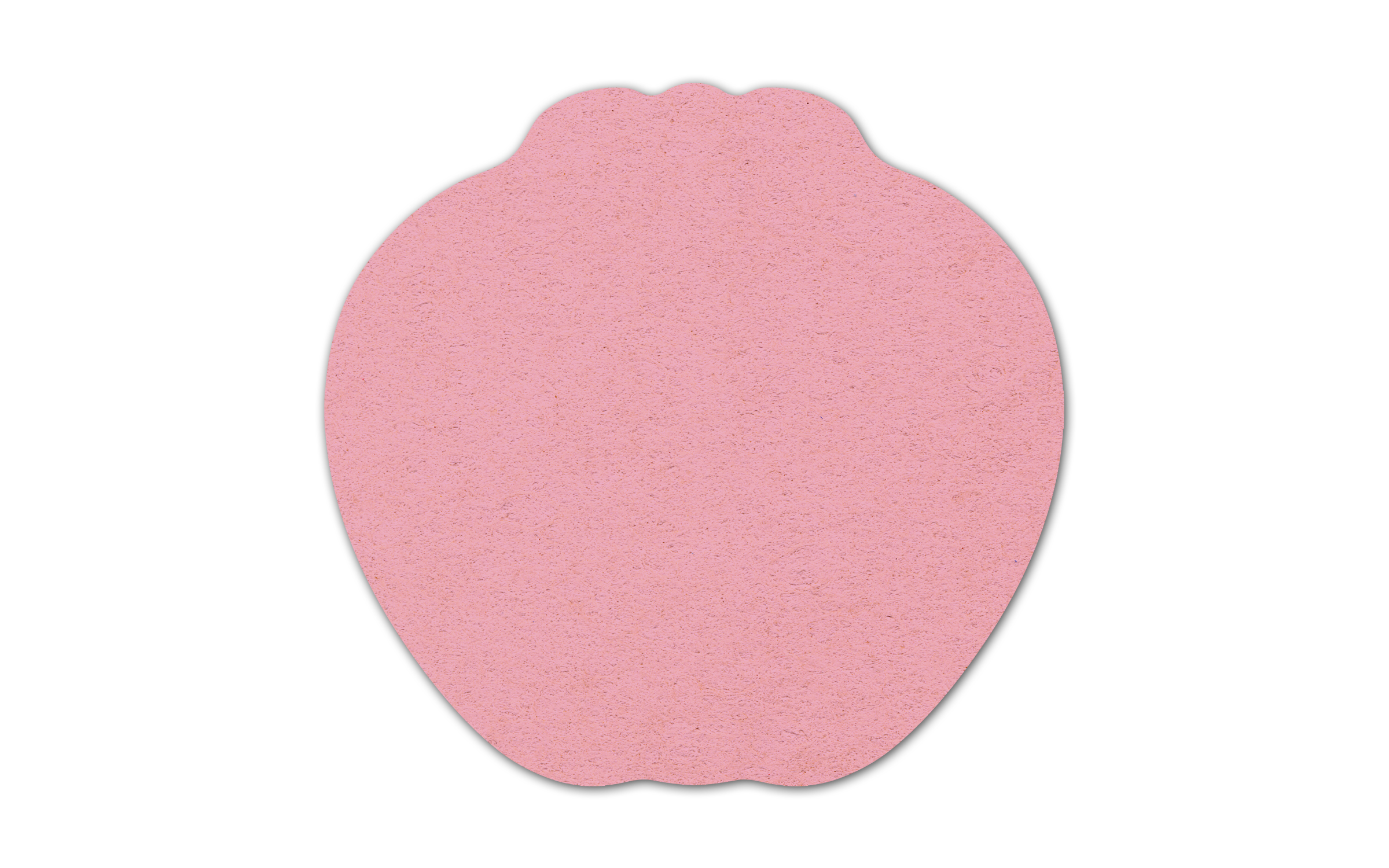 Apple Compressed Sponge 5AP 8