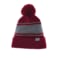 Unisex PARKTRAIL Roots73 Knit Toque 3
