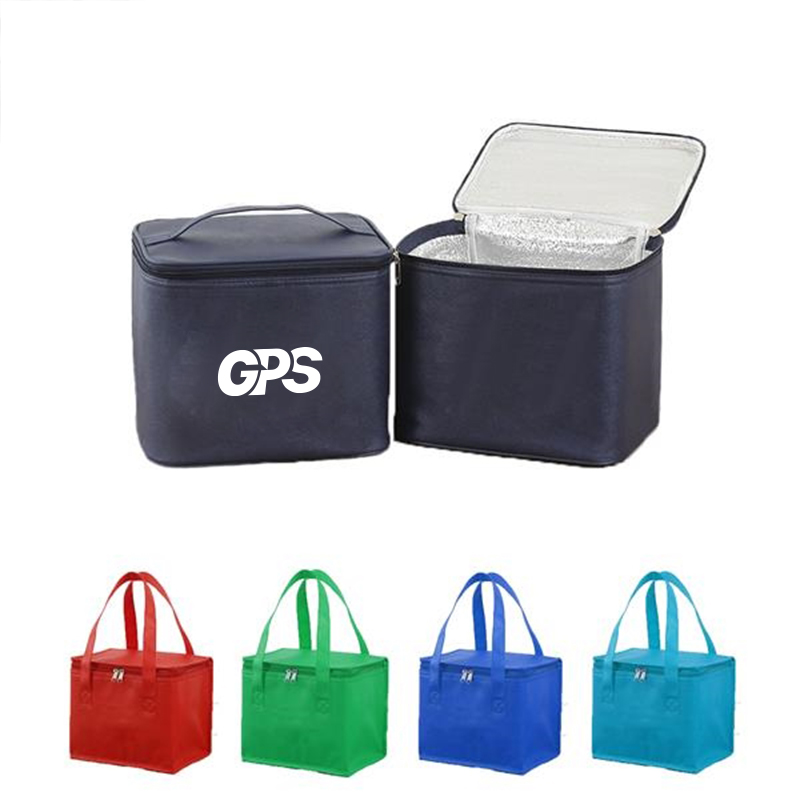 6 Pack Cooler Lunch Bag