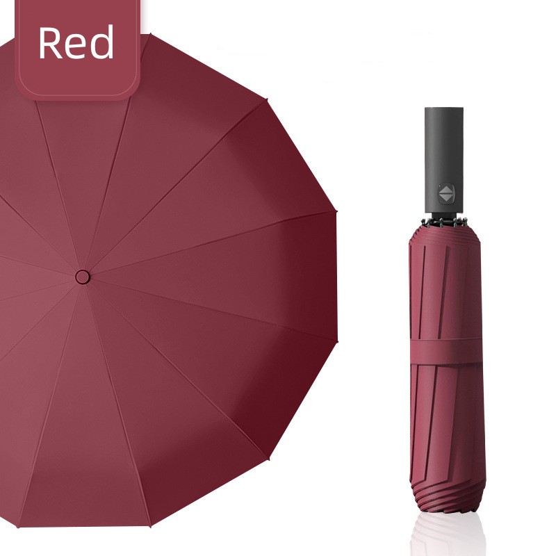 Curved Folding Umbrella Summer Parasol 2