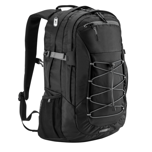 Basecamp Globetrotter Laptop Backpack 11
