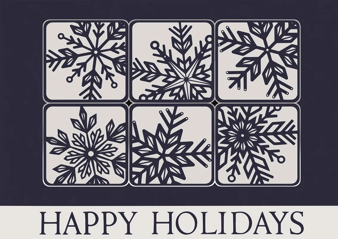 Silvery Snow Holiday Cards 2