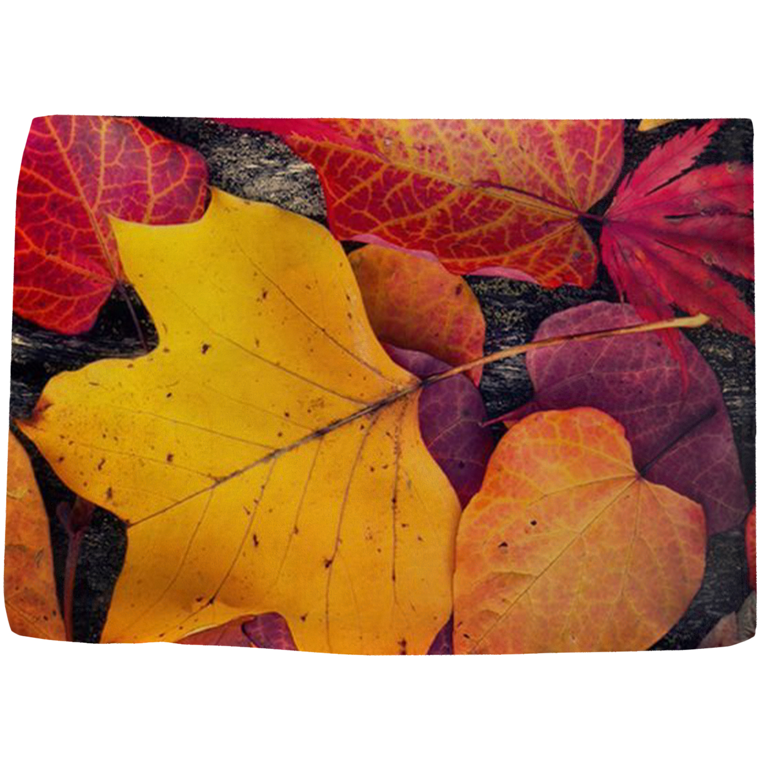 60" x 80" Plush Silk Touch Sublimation Blanket 300 GSM 2