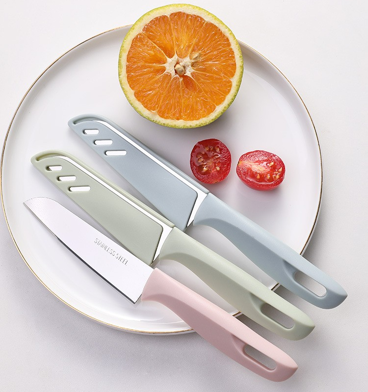 Stainless Steel Fruit Knife 2